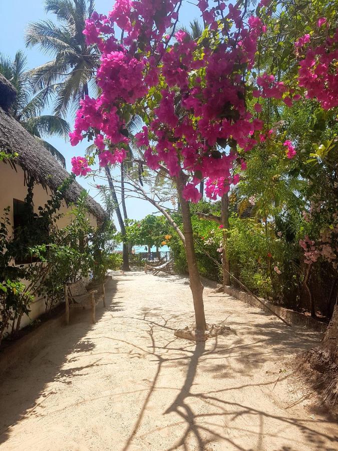 Jambiani * Jambiani (Zanzibar)